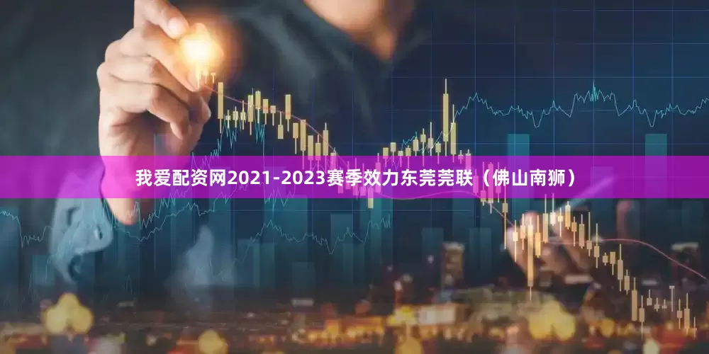 我爱配资网2021-2023赛季效力东莞莞联（佛山南狮）